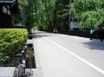 さすが観光の街　平日でも観光客が結構います。人力車走ってました！