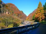 祖谷峡の紅葉