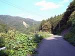 いよいよ道は狭くなり・・・山道に