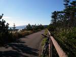復路、脇本から船越へ繋がる海岸沿いの自転車専用道