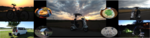 2021-2bunner-image.png