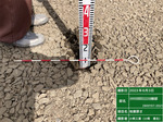 92240739-2.jpg
