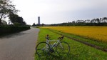 DSC03526.jpg