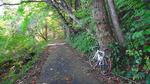 DSC03757.jpg