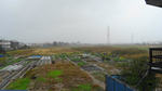 DSC07343.jpg