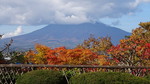 DSC08113-s.JPG