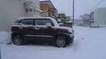 DSC08288.jpg