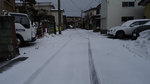 DSC08320.jpg