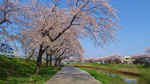 DSC08398.jpg