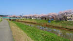 DSC08399.jpg