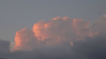 DSC08529.jpg