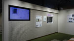 DSC08589.jpg