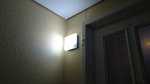 DSC08956.jpg