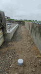 DSC09104.jpg