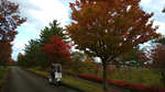 DSC_0000_BURST20211029150605589_COVER.jpg
