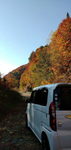 DSC_0298.jpg