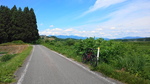 DSC_0804.JPG