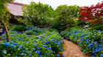DSC_0812-EFFECTS.jpg