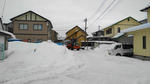 DSC_1784.jpg