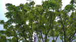 DSC_2025.jpg