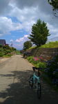 DSC_2584.jpg