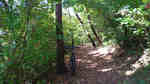 DSC_3007.jpg