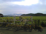 KIMG0452.jpg