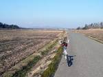 寒風山を見ると登りたくなってしまいます