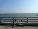 かつての八郎潟を彷彿とさせる景色･･といっても小生は埋め立て前の潟を見たことはない(^^ゞ