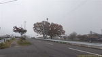 s-241026085840947.jpg