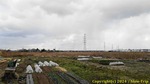 s1733549811684.jpg