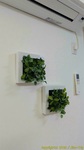 s231008180150708.jpg