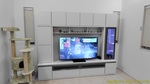 s231107164258458.jpg