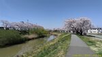s240415125952259.jpg