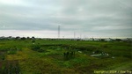 s240719172240129.jpg