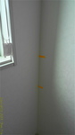 sDSC09252.jpg