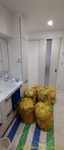 sDSC_0010.jpg