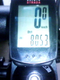 080816_1727.jpg