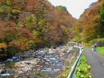 祖谷峡を行く