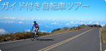 ガイド付き自転車ツアー
