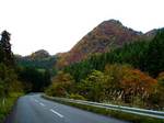 紅葉のやま